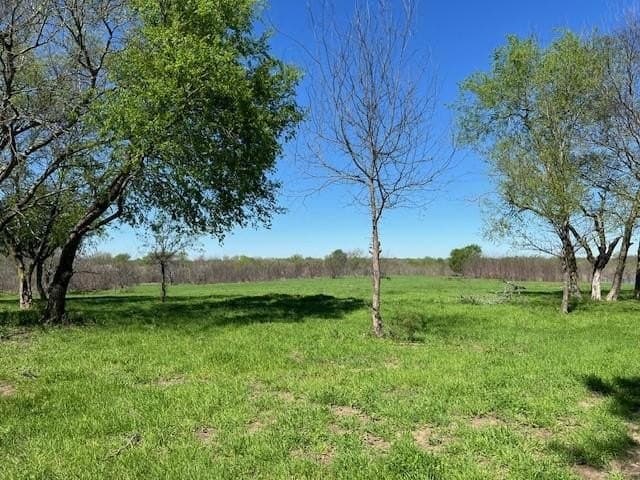 66.64 acres in Van Zandt County - photo 4