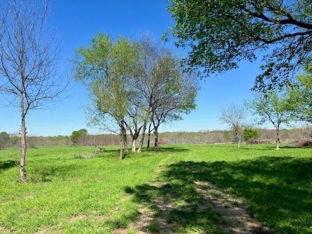 66.64 acres in Van Zandt County - photo 3