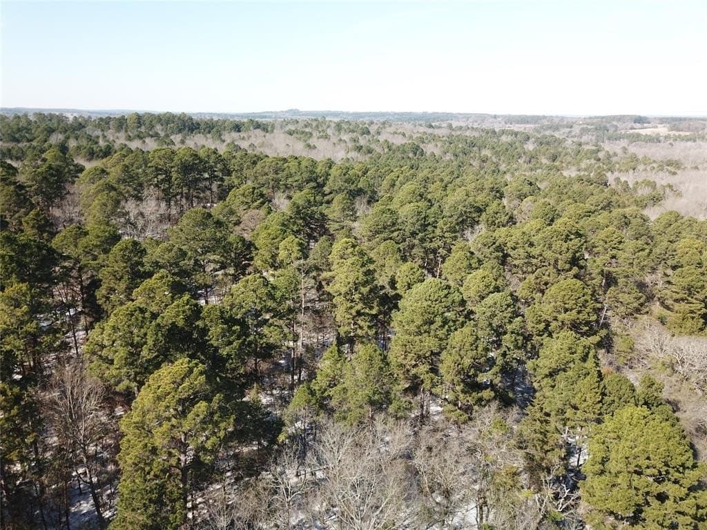 28.35 acres in Smith County - photo 4