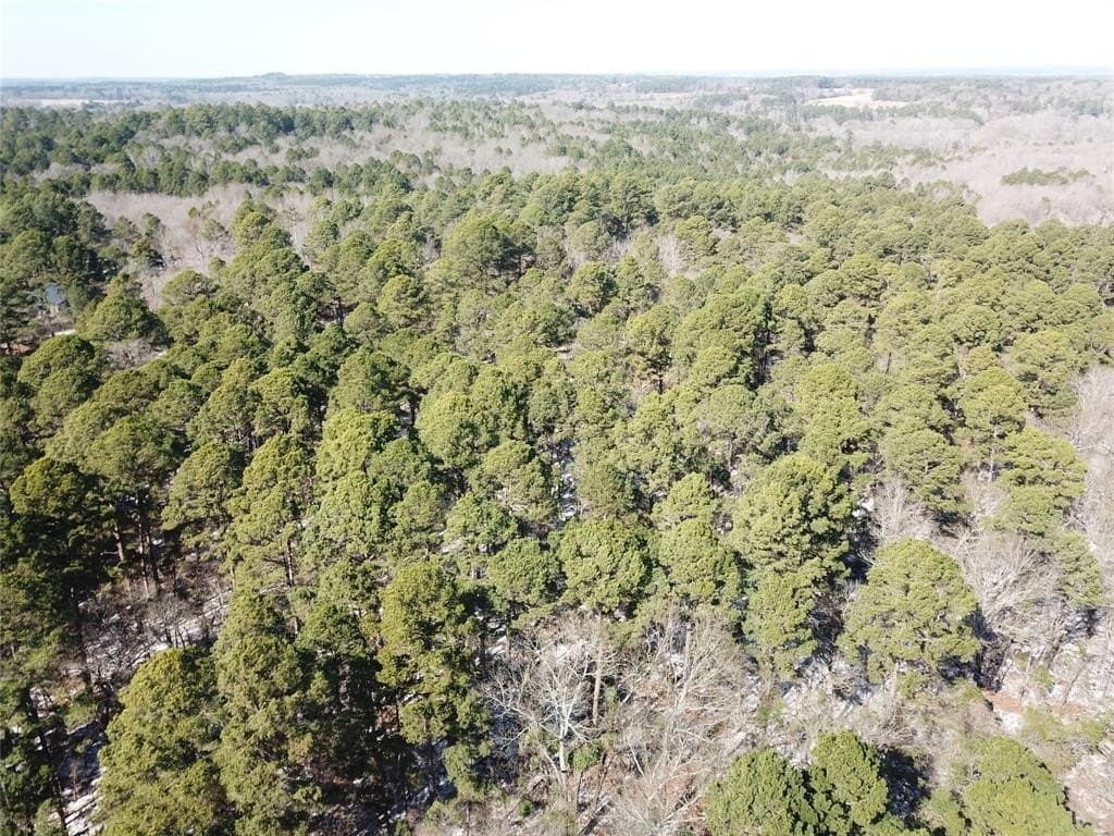 28.35 acres in Smith County - photo 7