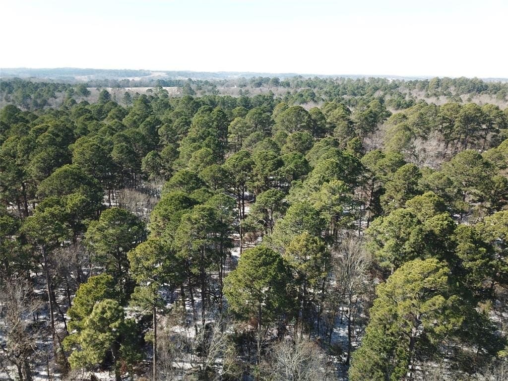 28.35 acres in Smith County - photo 5