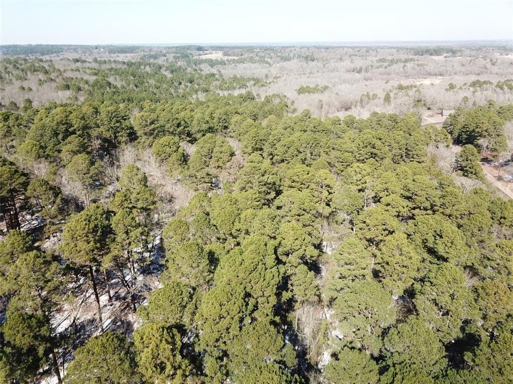 28.35 acres in Smith County - photo 8