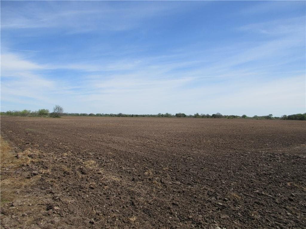 50 acres in Falls County - photo 6