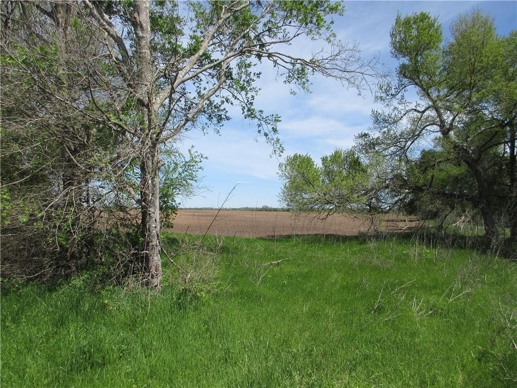 50 acres in Falls County - photo 2