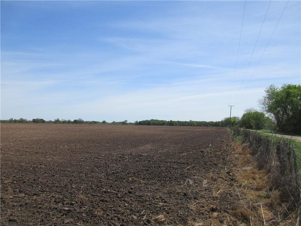 50 acres in Falls County - photo 4