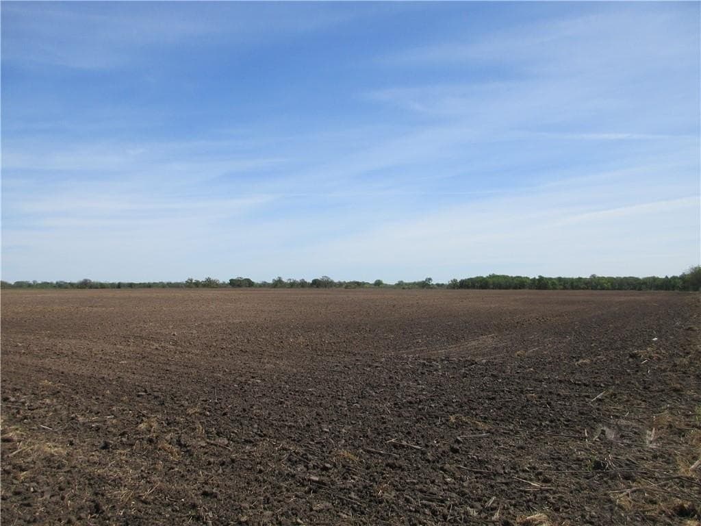50 acres in Falls County - photo 5