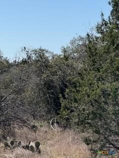 1.13 acres in Comal County - photo 3