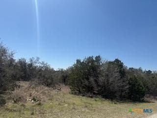 1.13 acres in Comal County - photo 2
