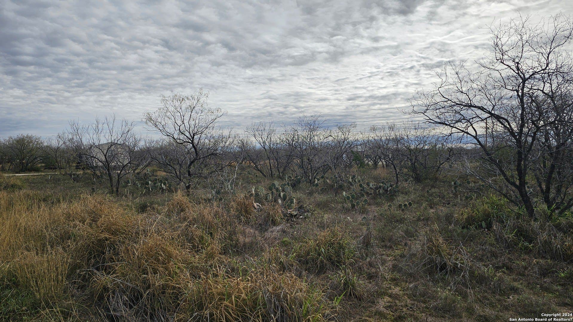 0.5 acres in Atascosa County - photo 4
