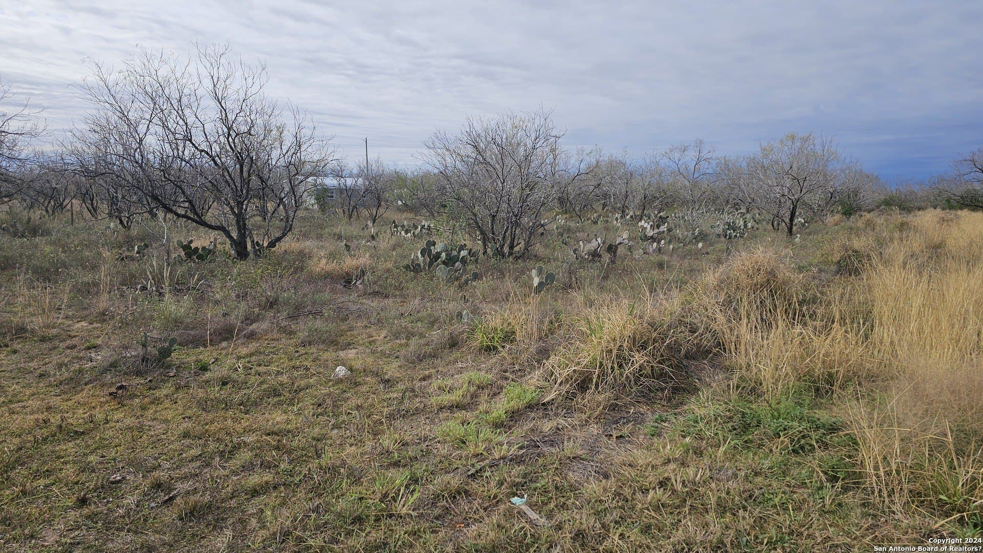 0.5 acres in Atascosa County - photo 2