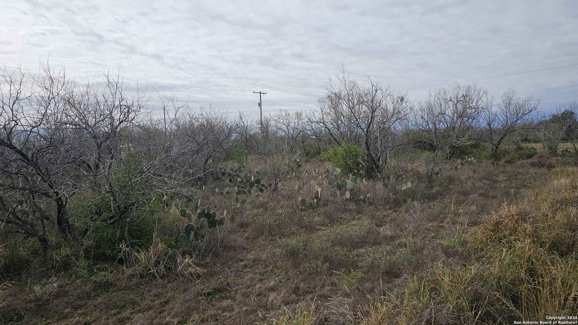 0.5 acres in Atascosa County - photo 3