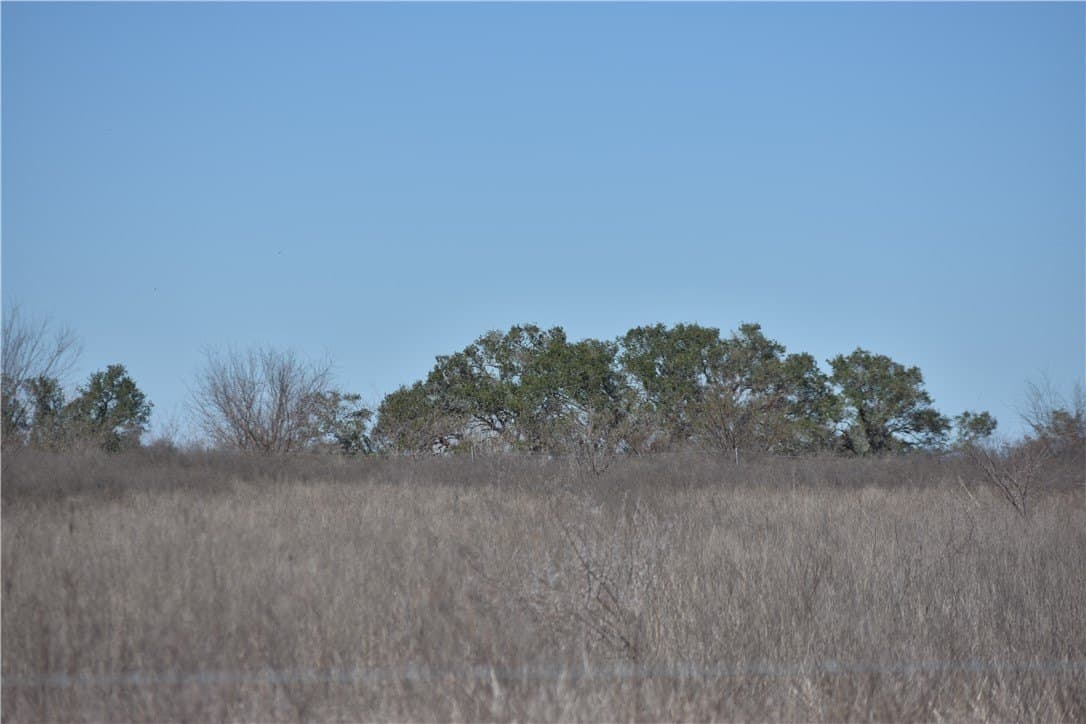 10.1 acres in Refugio County - photo 6