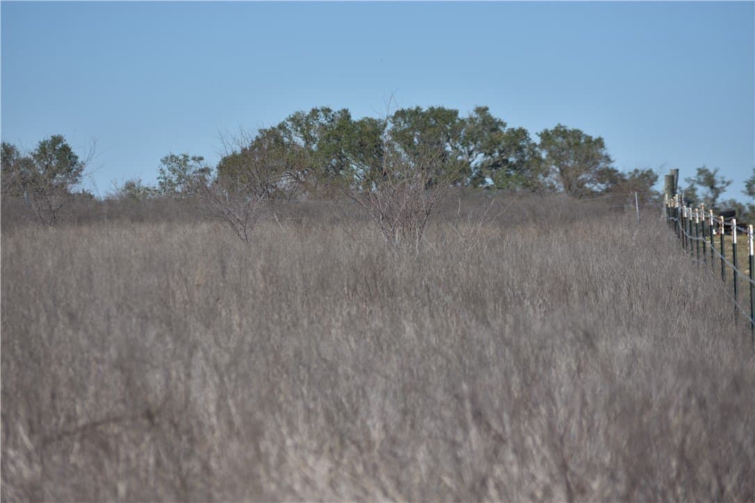 10.1 acres in Refugio County - photo 7