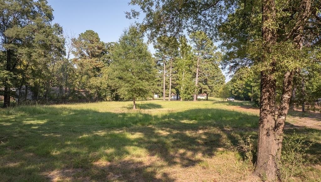 6.31 acres in Bowie County - photo 9