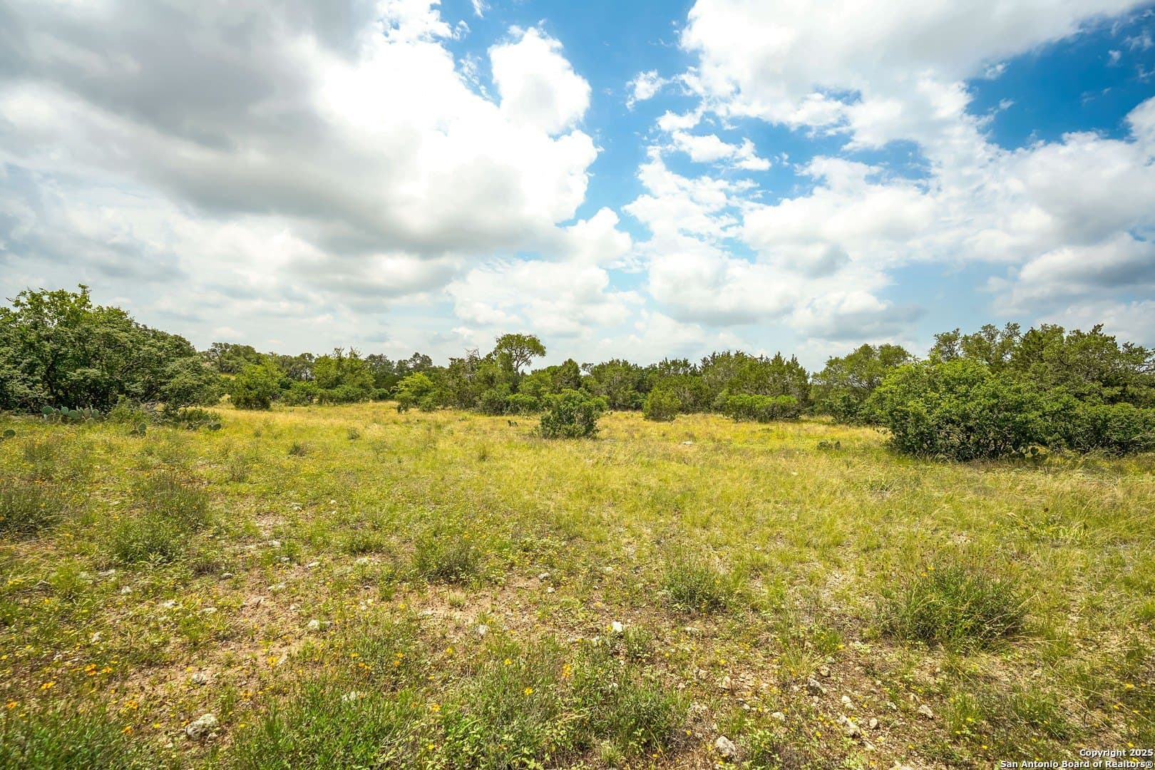 2 acres in Comal County - photo 19