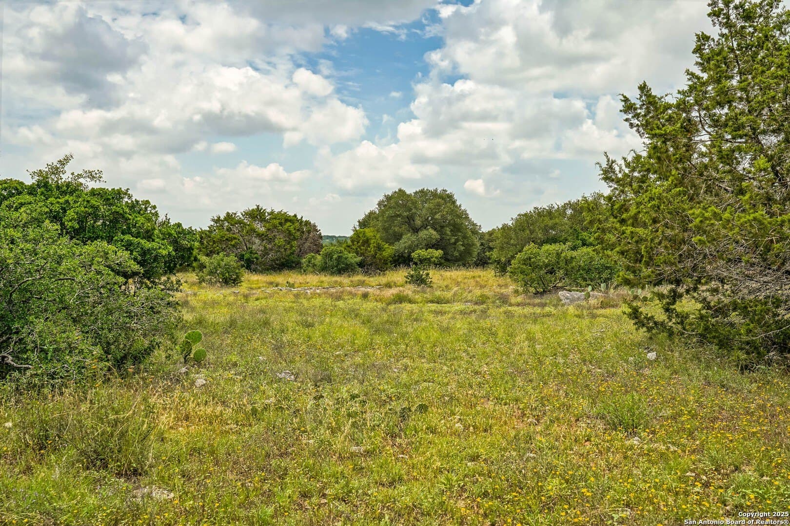2 acres in Comal County - photo 11