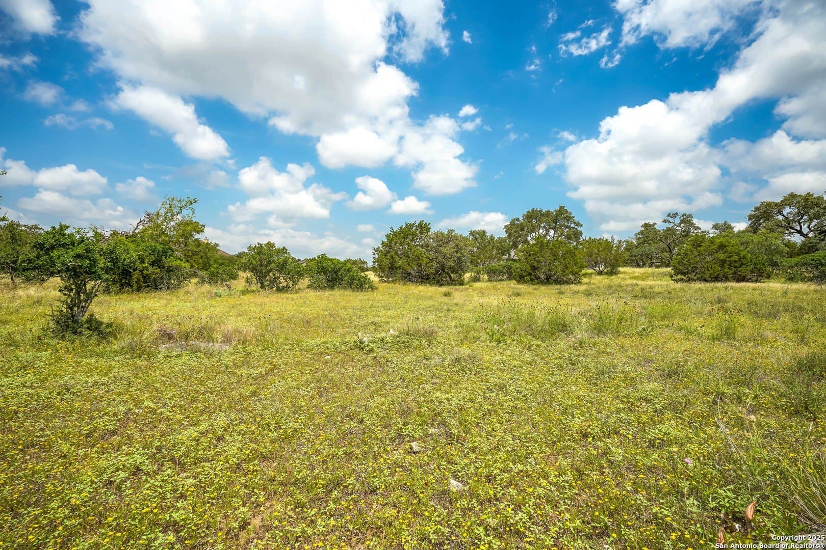 2 acres in Comal County - photo 12