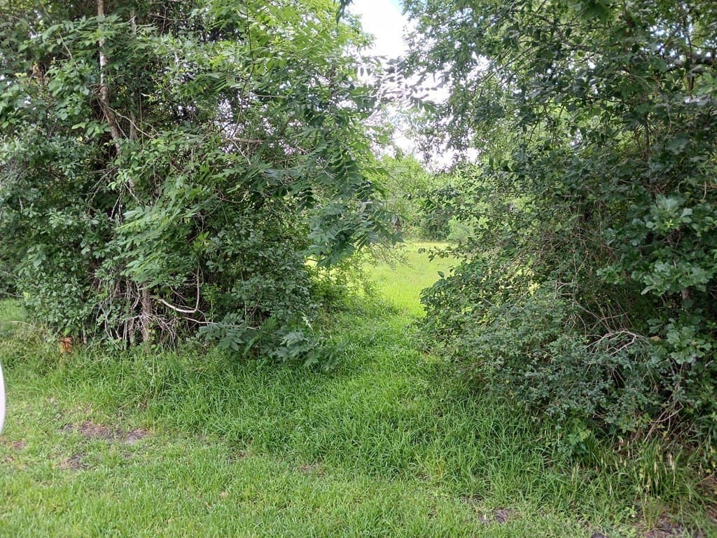 5.17 acres in Texas County - photo 6