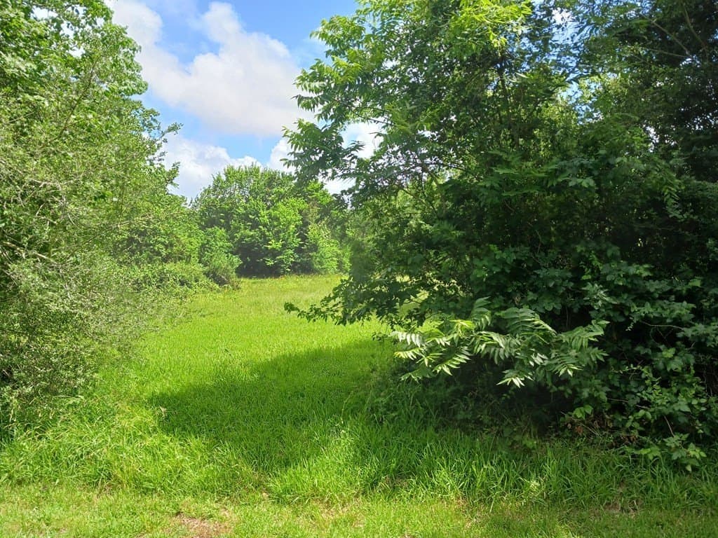 5.17 acres in Texas County - photo 3