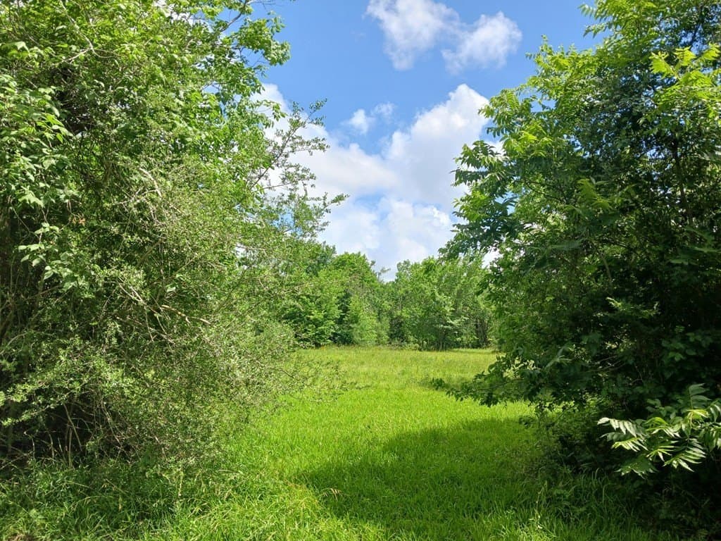 5.17 acres in Texas County - photo 2