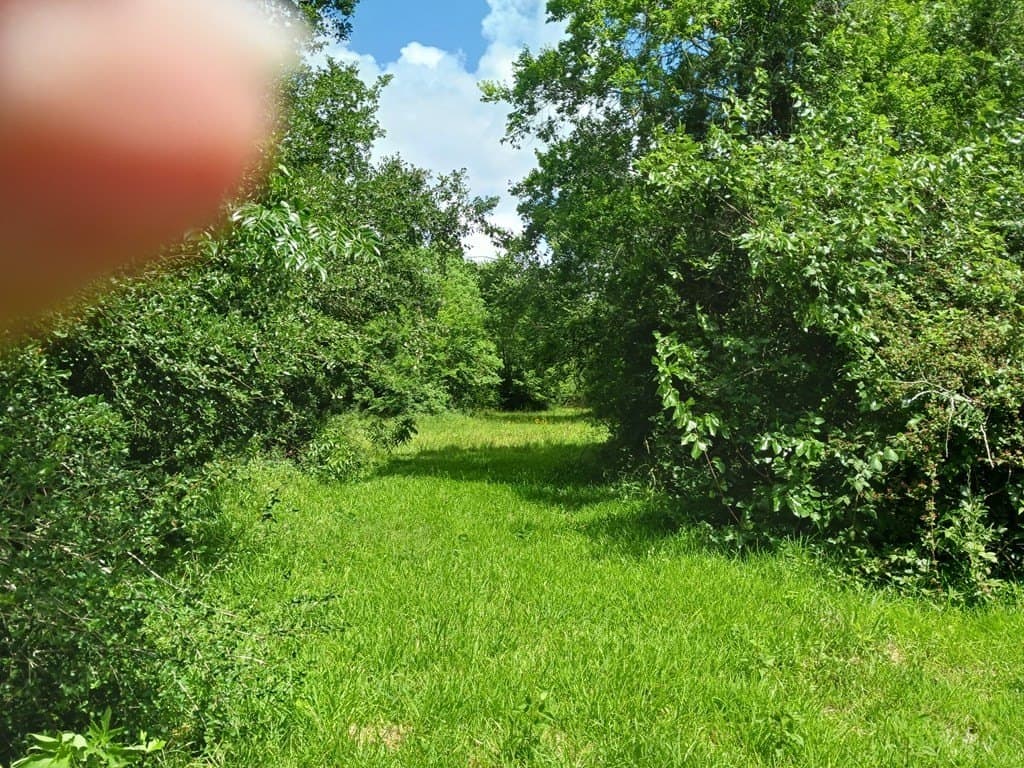 5.17 acres in Texas County - photo 8