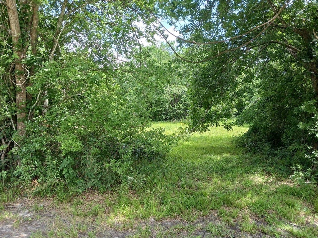 5.17 acres in Texas County - photo 5