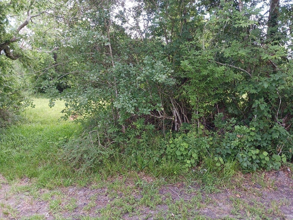 5.17 acres in Texas County - photo 7