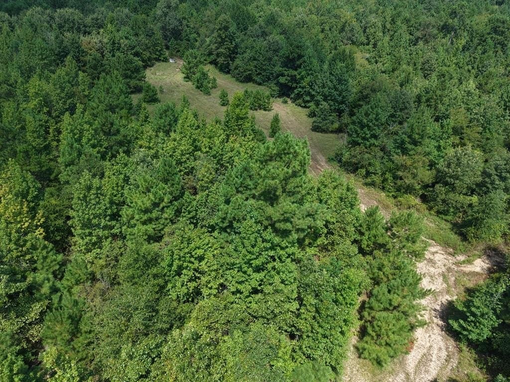 12.84 acres in ANDERSON County - photo 14