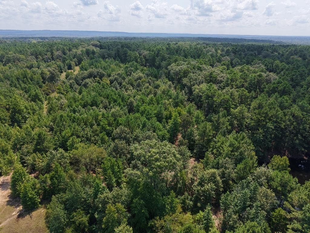 12.84 acres in ANDERSON County - photo 31