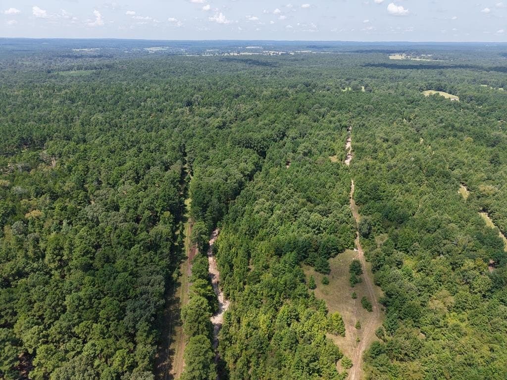12.84 acres in ANDERSON County - photo 18