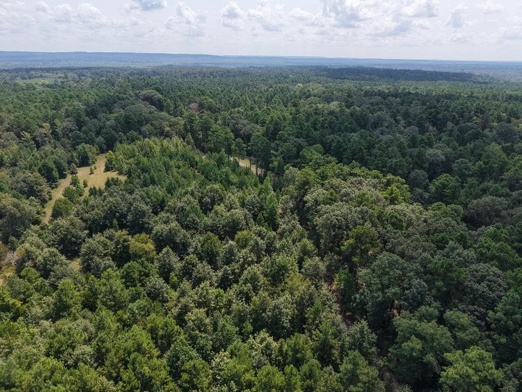12.84 acres in ANDERSON County - photo 35