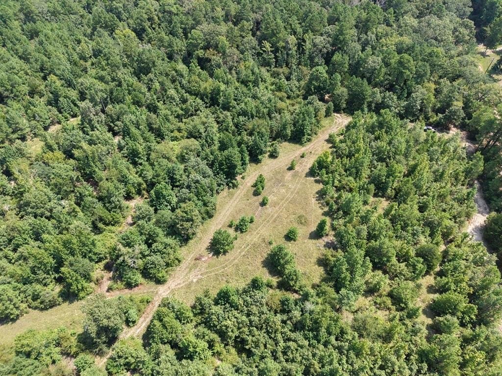 12.84 acres in ANDERSON County - photo 38