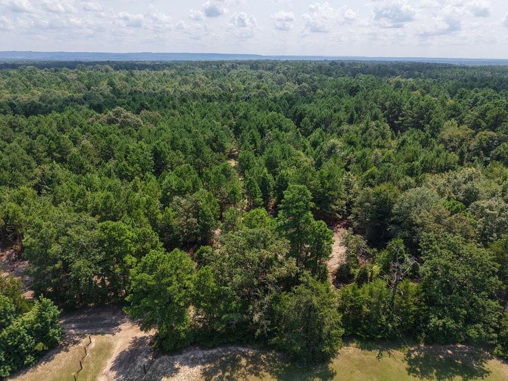 12.84 acres in ANDERSON County - photo 25