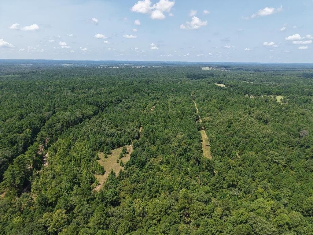 12.84 acres in ANDERSON County - photo 39