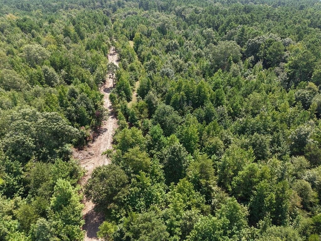 12.84 acres in ANDERSON County - photo 11