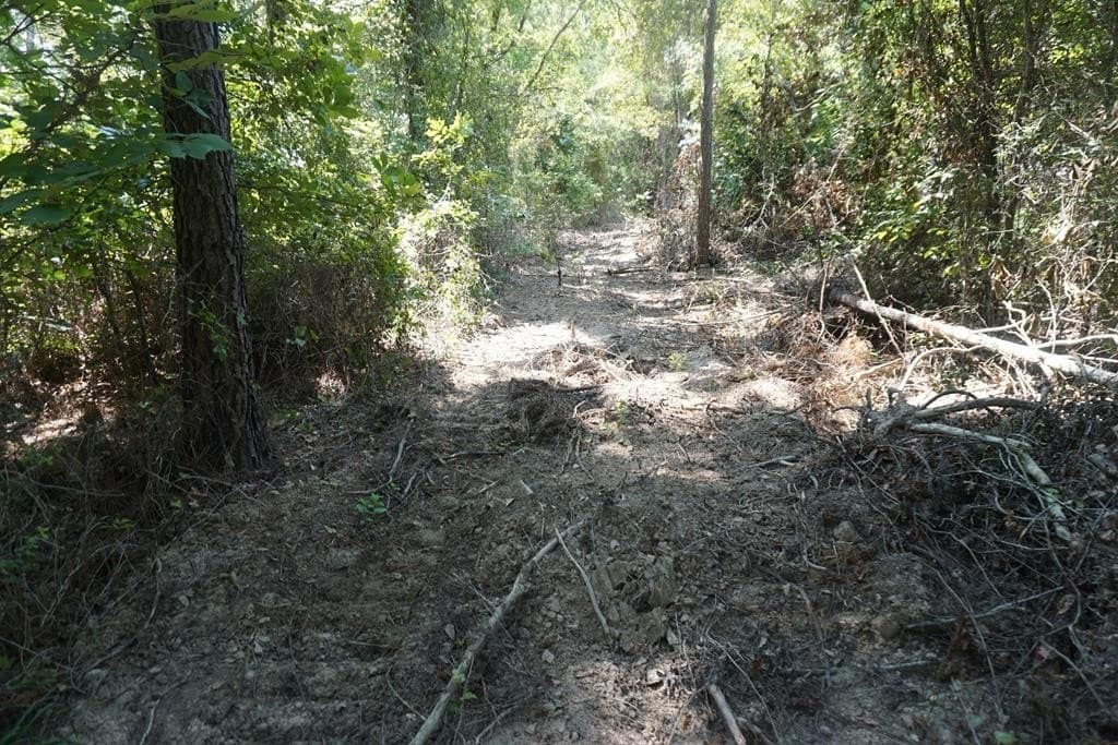 12.84 acres in ANDERSON County - photo 9