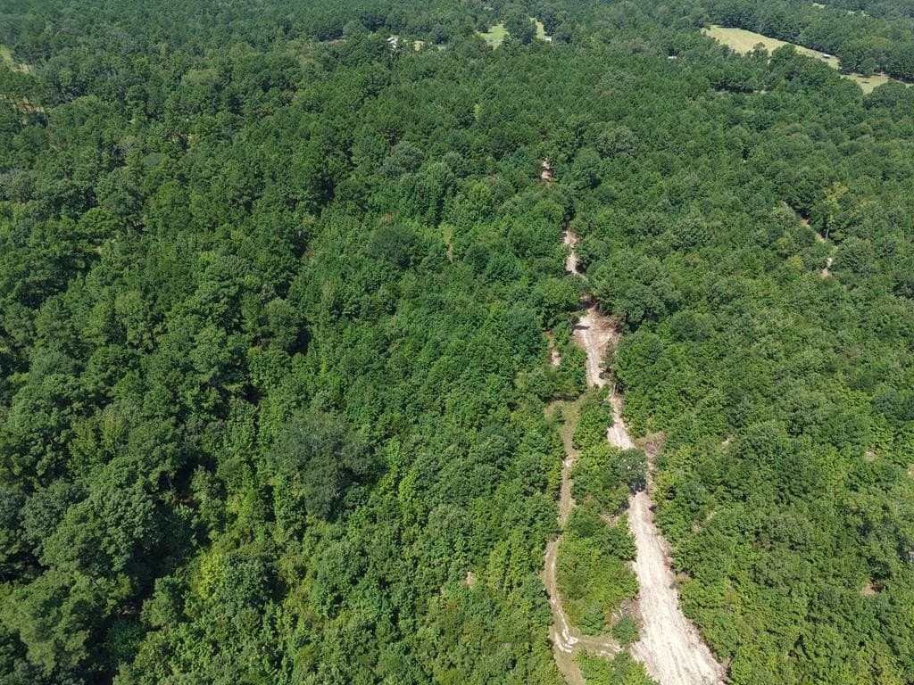 12.84 acres in ANDERSON County - photo 29