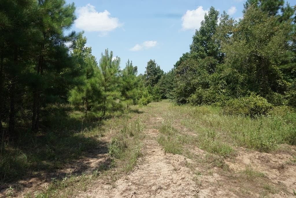 12.84 acres in ANDERSON County - photo 5