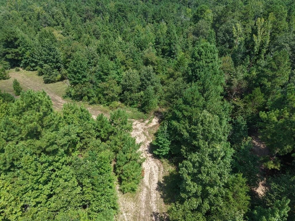 12.84 acres in ANDERSON County - photo 12