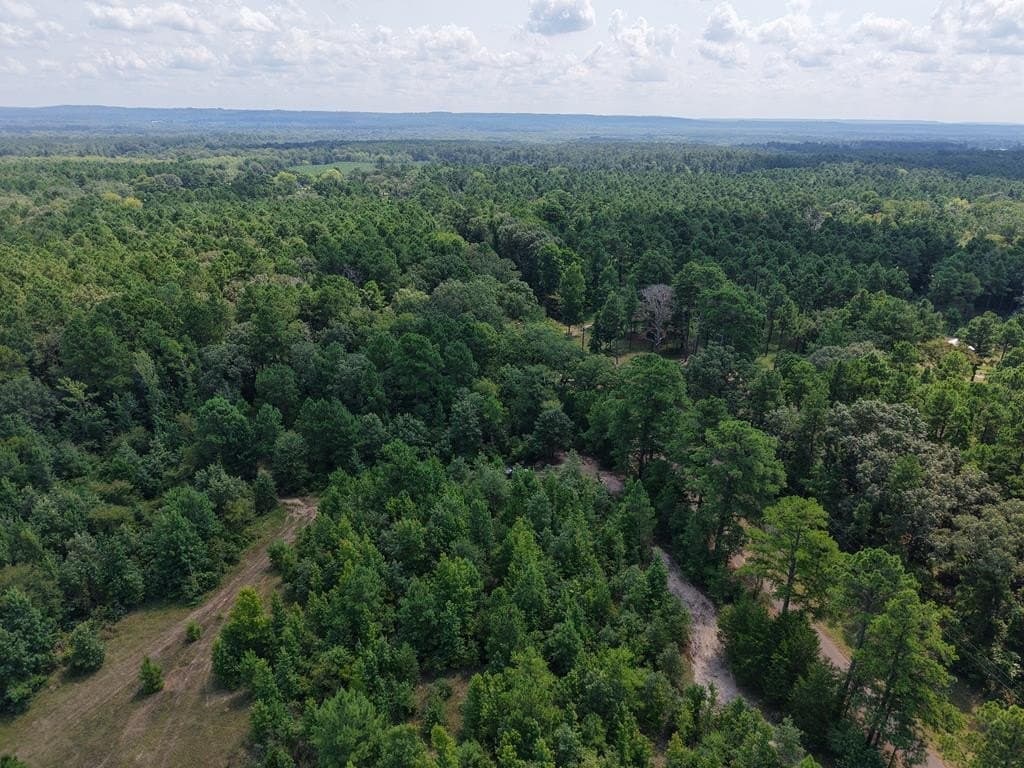 12.84 acres in ANDERSON County - photo 36