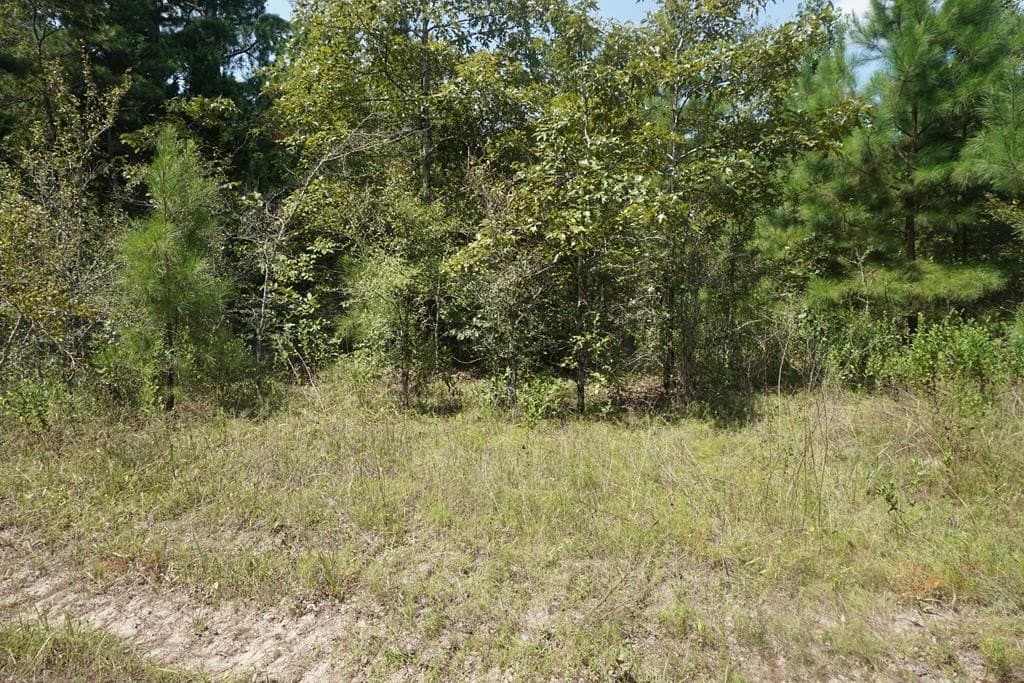 12.84 acres in ANDERSON County - photo 10