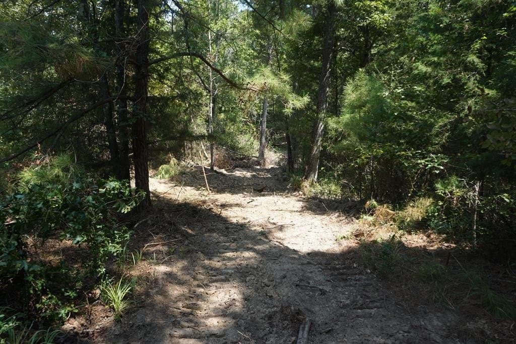 12.84 acres in ANDERSON County - photo 6