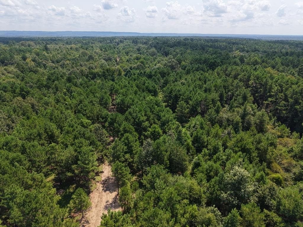 12.84 acres in ANDERSON County - photo 13