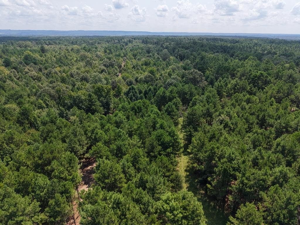 12.84 acres in ANDERSON County - photo 32