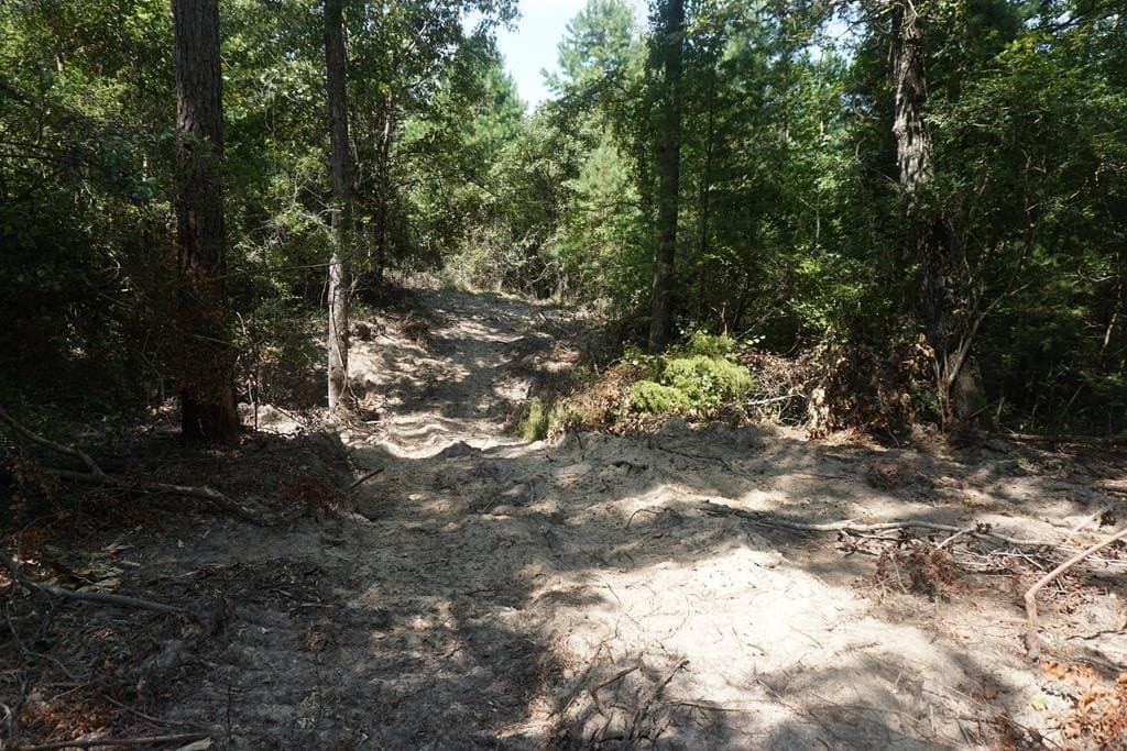 12.84 acres in ANDERSON County - photo 7