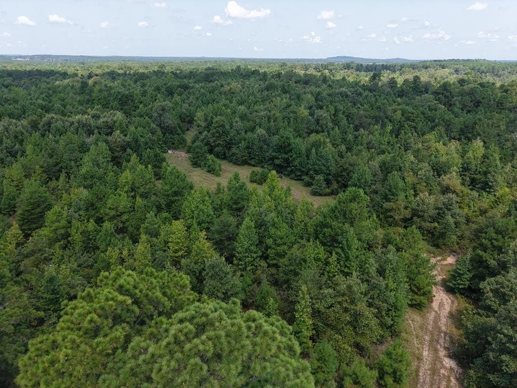 12.84 acres in ANDERSON County - photo 28