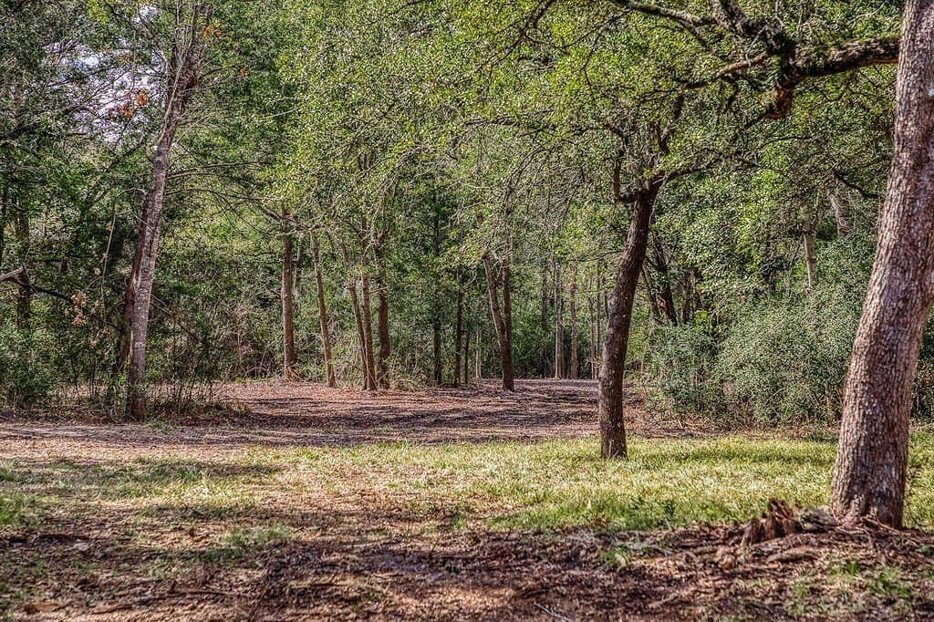 10.5 acres in Washington County - photo 25