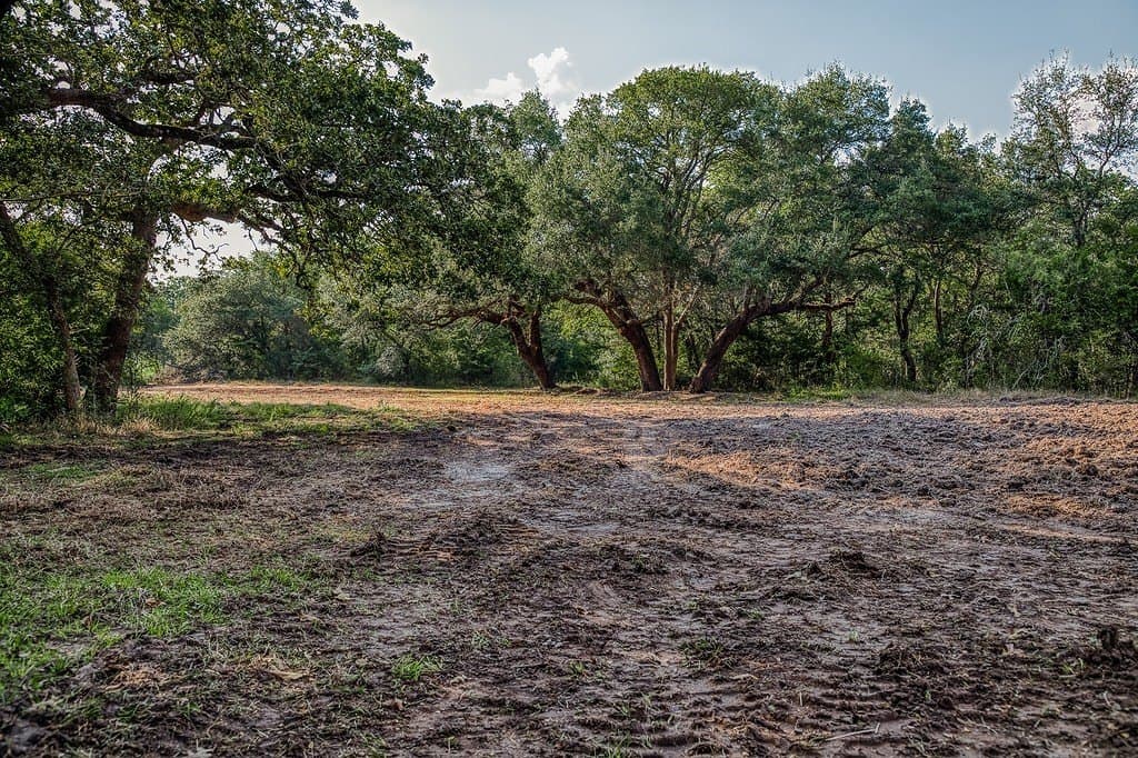 10.5 acres in Washington County - photo 29