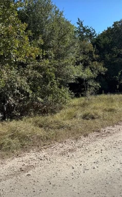 0.39 acres in Navarro County - photo 4