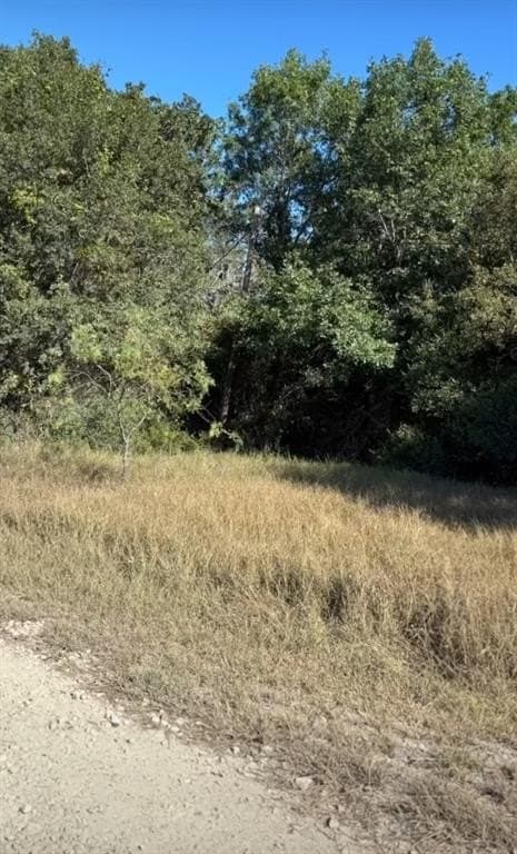 0.39 acres in Navarro County - photo 6